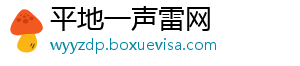 平地一声雷网